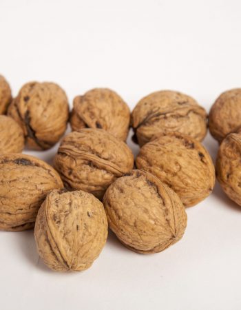 Nueces de Leitor