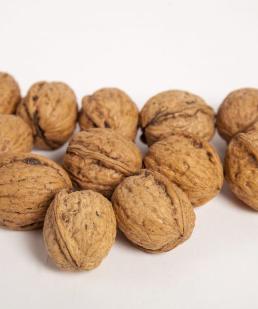 Nueces de Leitor